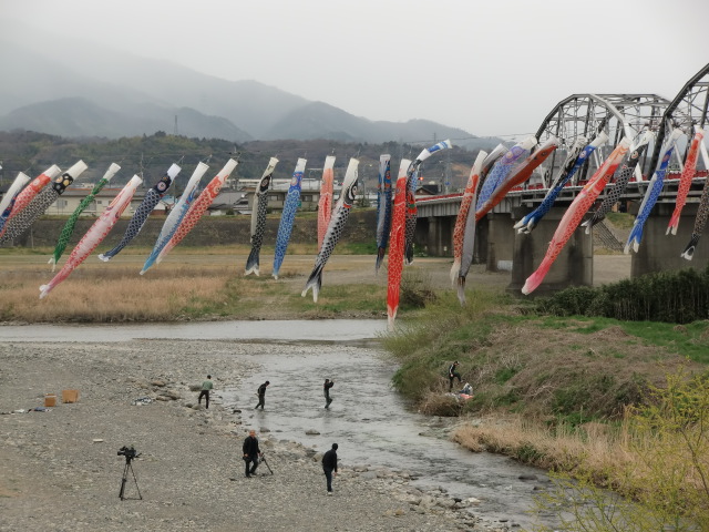 幅約１００メートルの紀伊丹生川に渡された鯉幟