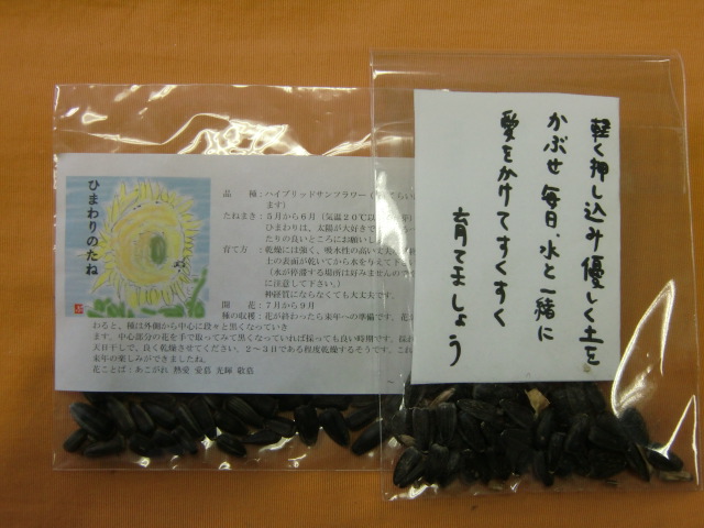 中村さんが栽培したひまわりの種入り袋