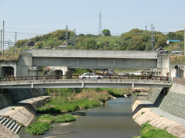 拡幅されたあと真鯉が泳ぎ回るようになってきた橋本川