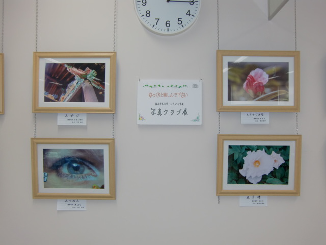 橋本市図書館に飾られた「生き生き学園・写真クラブ」の作品