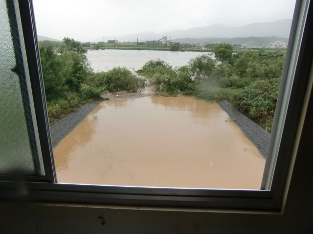 水位が上昇する大谷川の河口（大谷川樋門の窓から撮影）